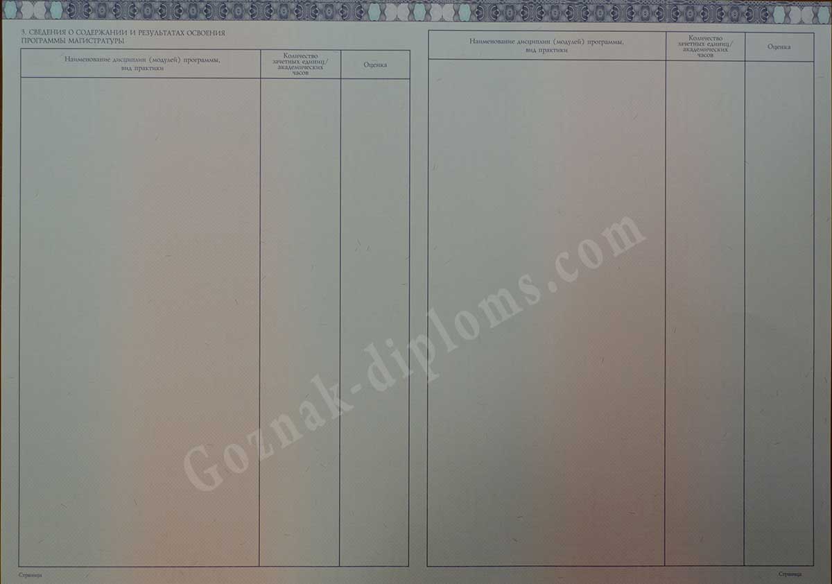 Диплом магистра 2014-2026